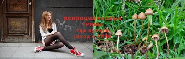 MDMA Premium VHQ Гусиноозёрск