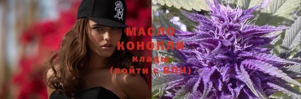 мет Гусев