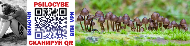 Купить где  Рошаль  Галлюциногенные грибы Magic Shrooms 