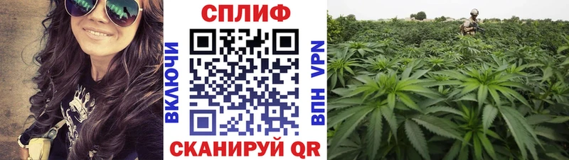 Шишки марихуана гибрид  Купить закладки  Рошаль 